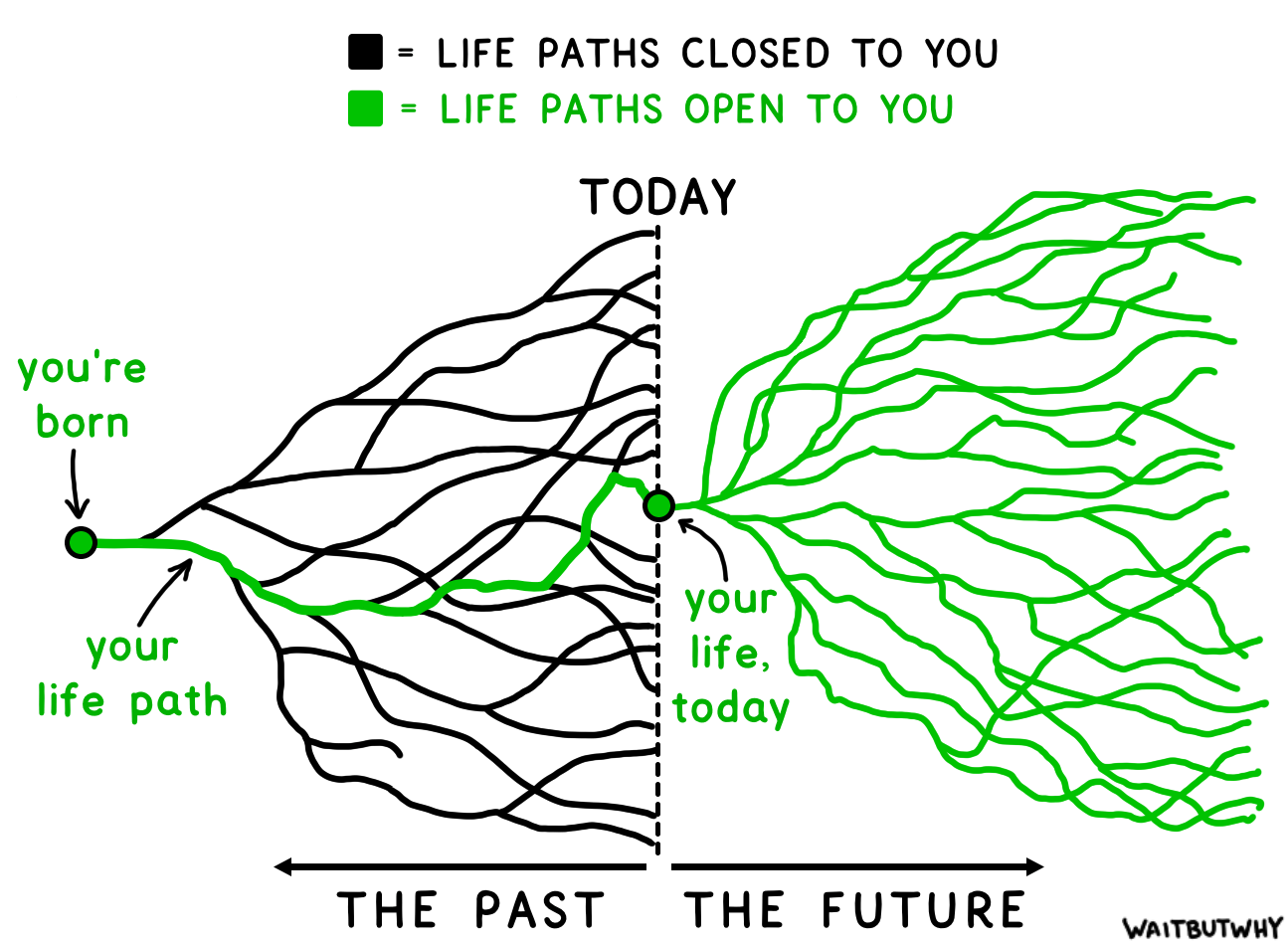 lifepath_tim_urban.png